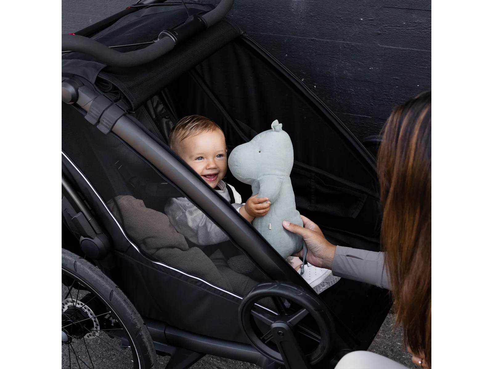Thule Chariot Sport 2 (Zweisitzer) – Bild 9
