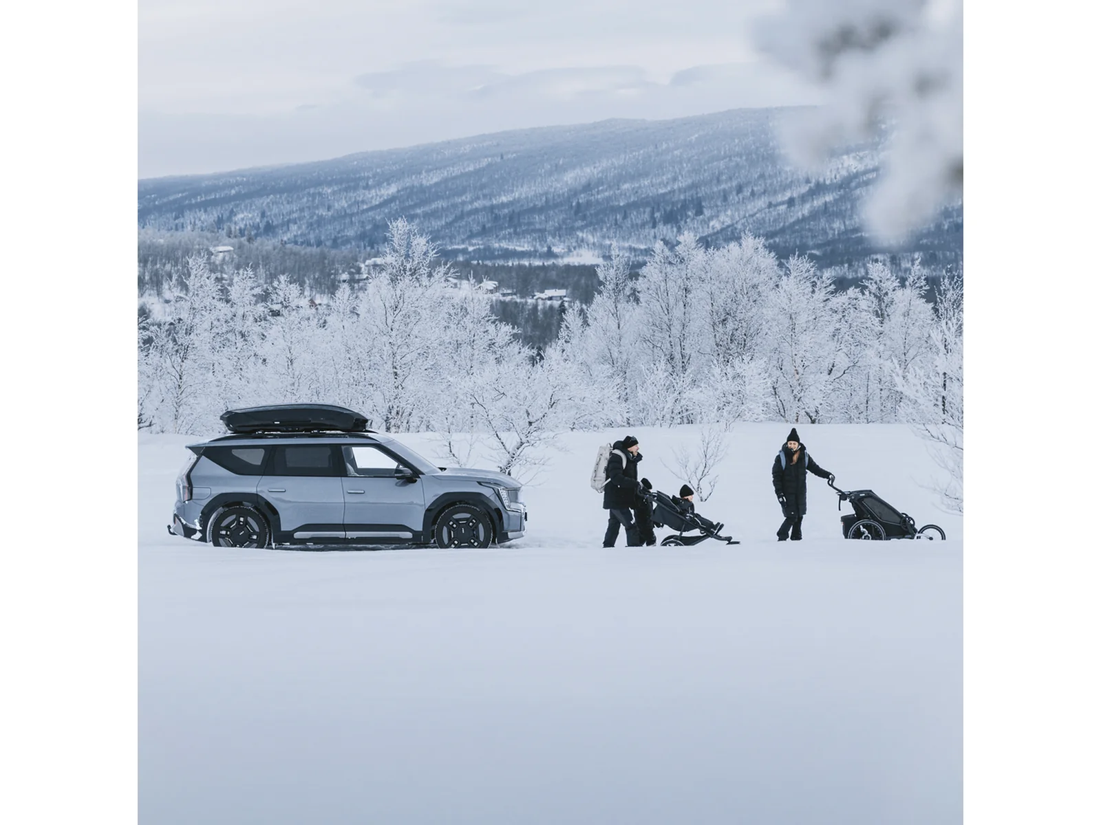 Thule Motion 3 L – Bild 7